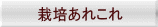 栽培あれこれ