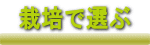  ͔|őI